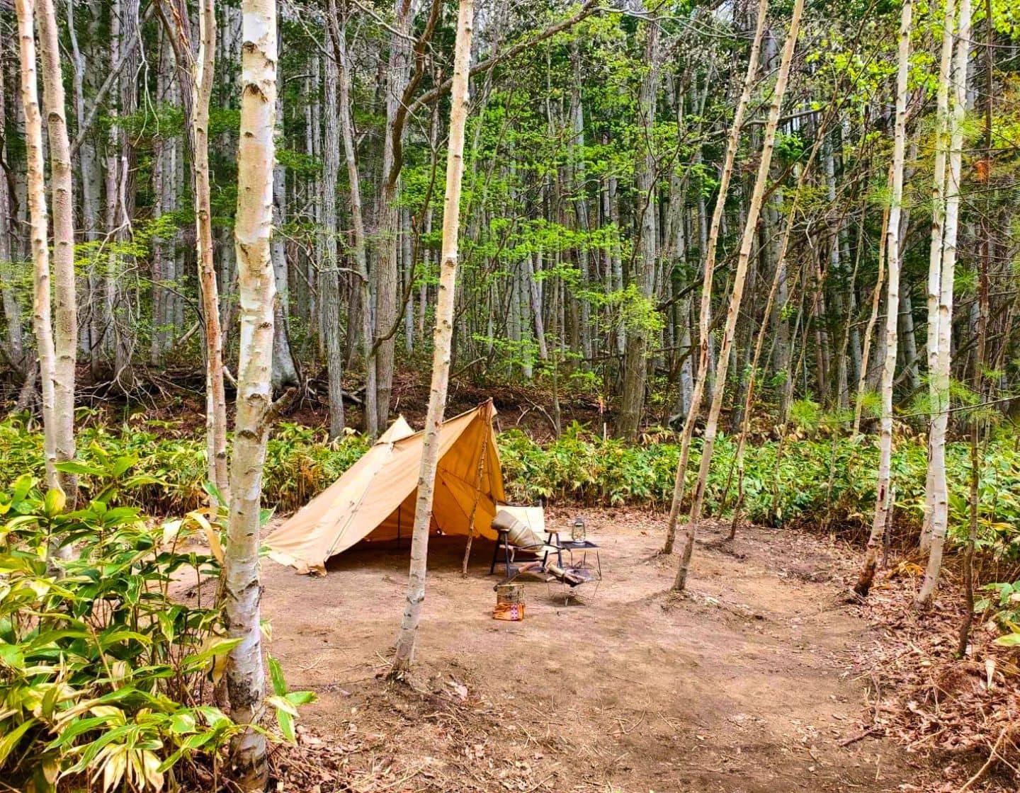 ブッシュサイト